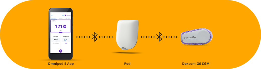 DiabetesMine on X: Size comparison of the new Dexcom G6 transmitter (demo  version, at least) with the G5 transmitter. -MH  / X