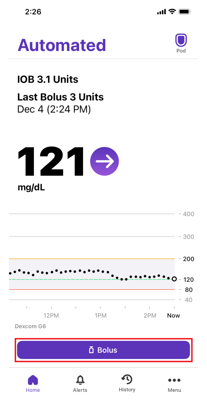 Custom Foods for iOS: tap the bolus button screen
