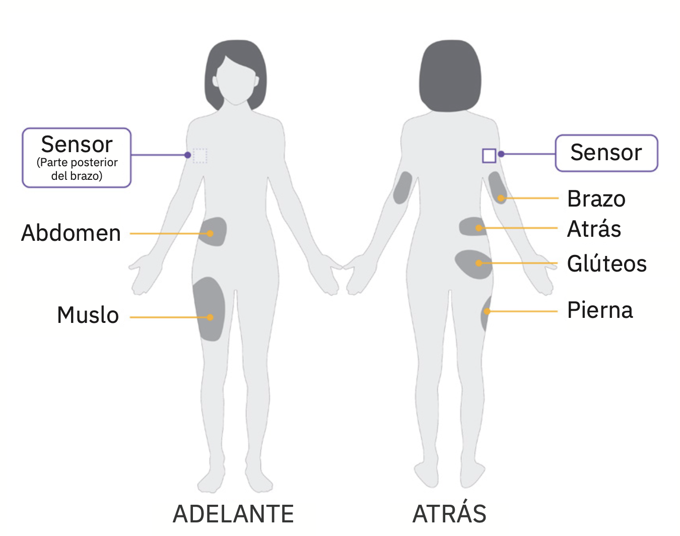 Gráficos del sensor de pod, brazo adulto