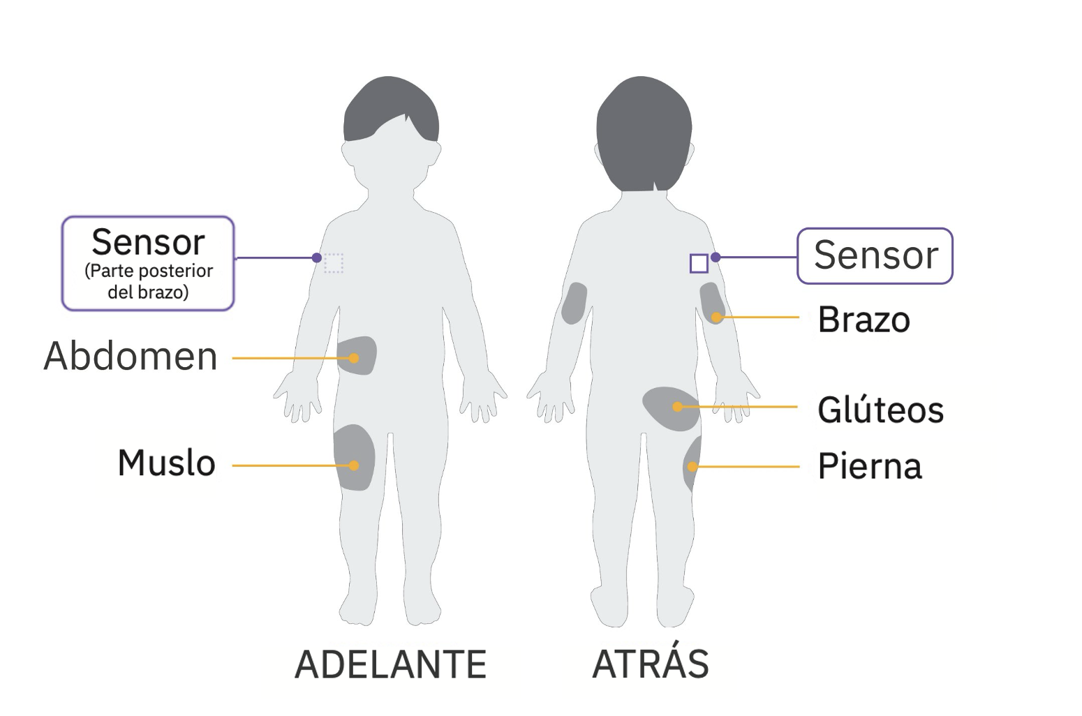 Gráficos del sensor de cápsula, brazo de niño