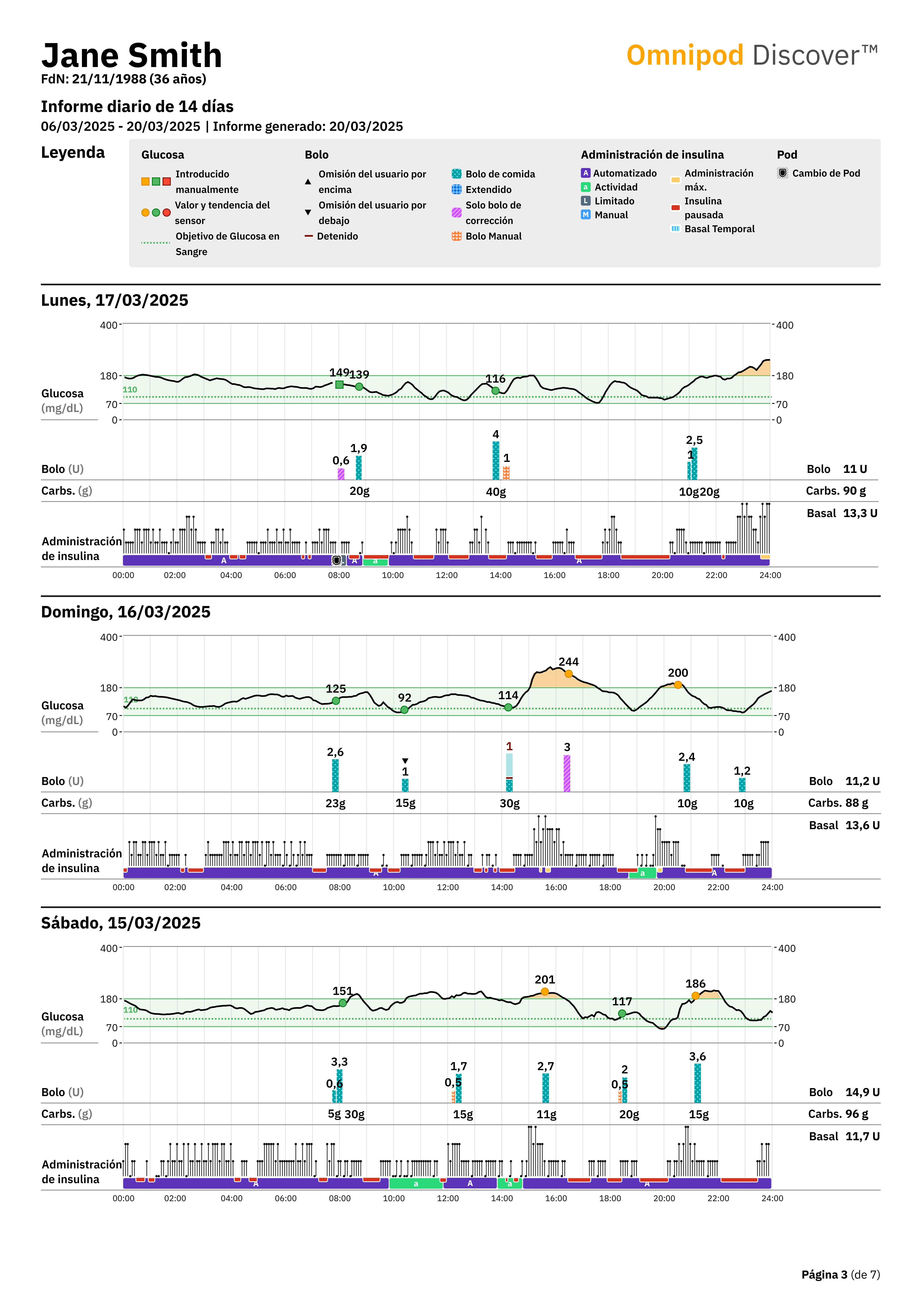 daily report