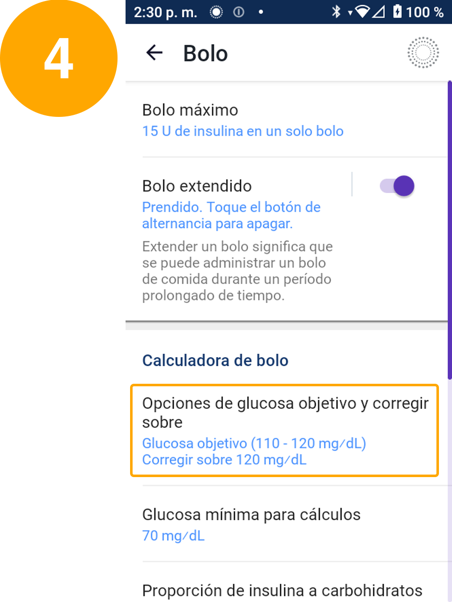 Bolus settings expanded screen