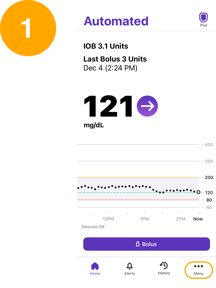 iOS home automated screen