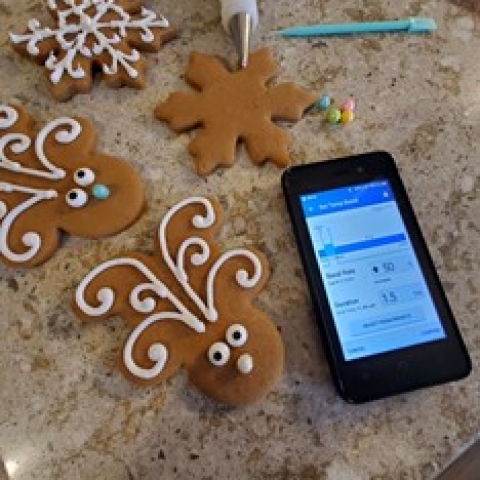 Gingerbread cookies and Omnipod DASH PDM
